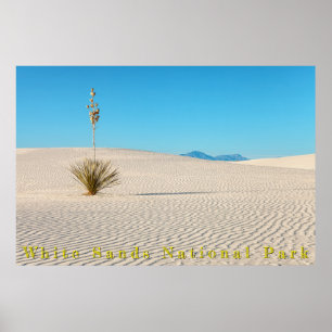 Poster Paisagem de areias brancas do deserto e Yucca