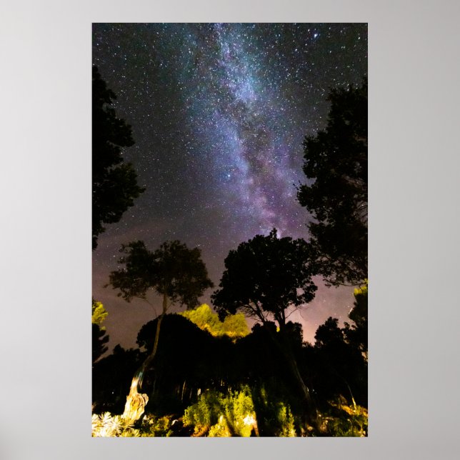 Poster Paisagem de árvores com caminho leitoso (Frente)