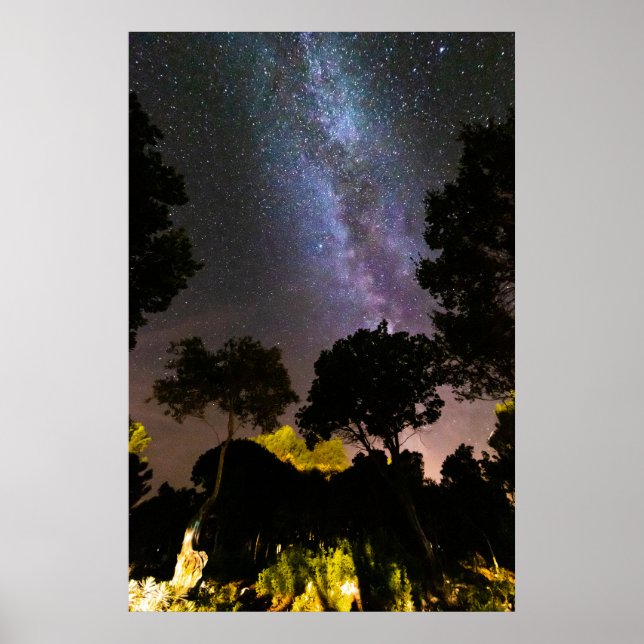 Poster Paisagem de árvores com caminho leitoso (Frente)