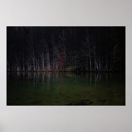 Poster Paisagem de árvores no lago