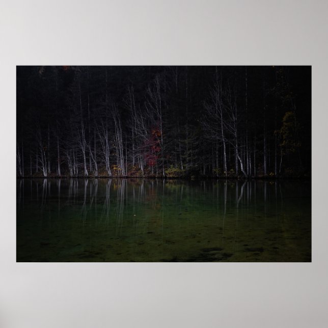 Poster Paisagem de árvores no lago (Frente)