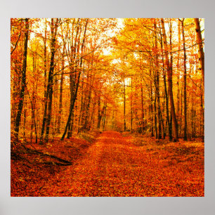 Poster Paisagem de Autumn Way