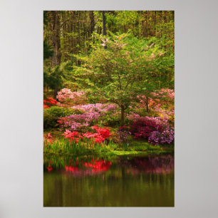 Pôster Paisagem de Callaway