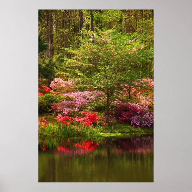 Pôster Paisagem de Callaway (Frente)