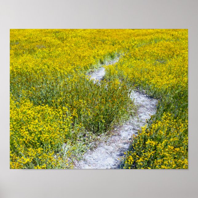 Poster Paisagem de Campo de Flor Amarelo (Frente)
