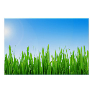 Pôster Paisagem de grama verde céu azul-10826