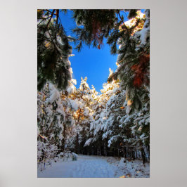 Poster Paisagem de Inverno
