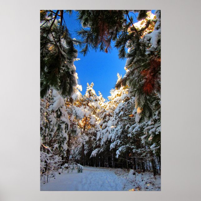Poster Paisagem de Inverno (Frente)