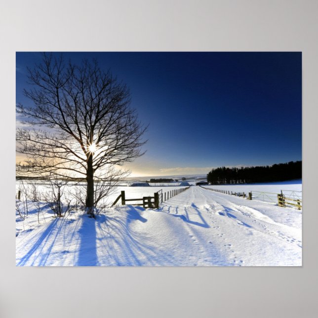 Poster Paisagem de inverno (Frente)