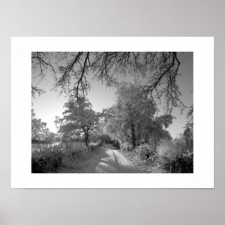 Poster Paisagem de Inverno: Cheshire