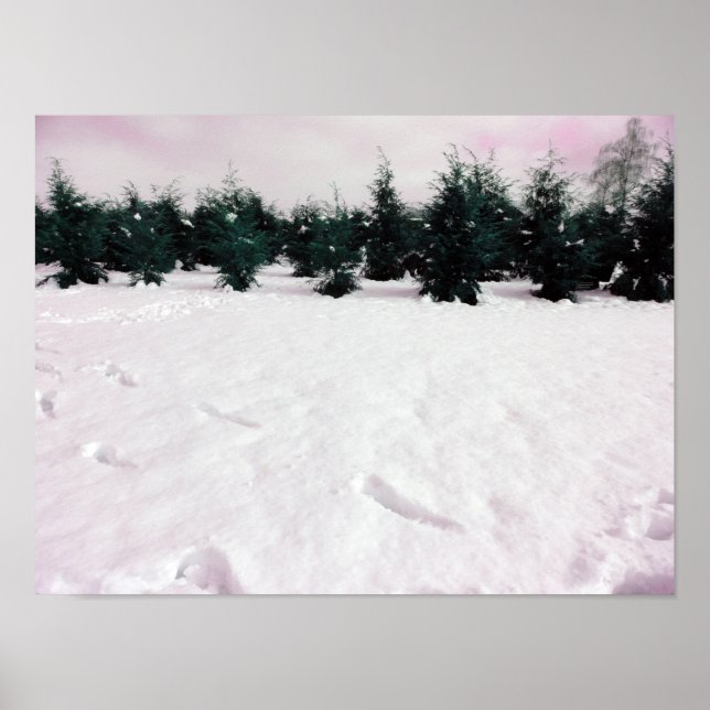 Poster Paisagem de inverno com larchas na neve (Frente)