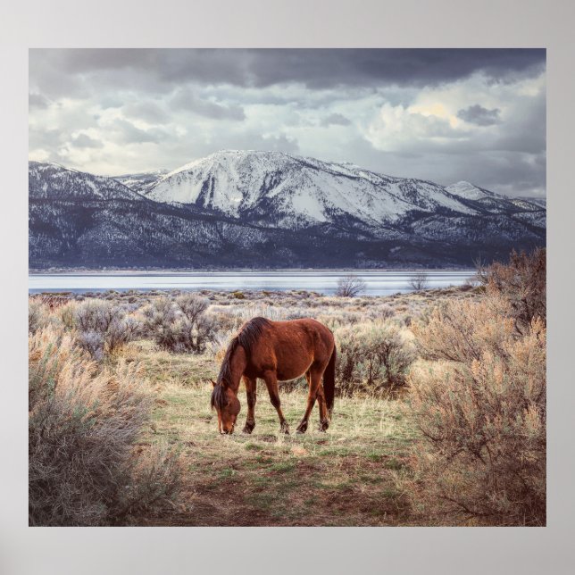 Poster Paisagem de inverno de Nevada. (Frente)