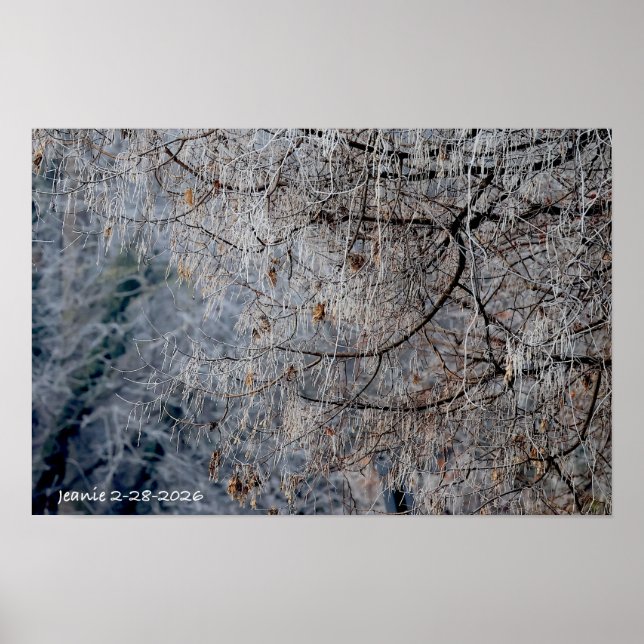 Poster Paisagem de inverno maravilhosa (Frente)