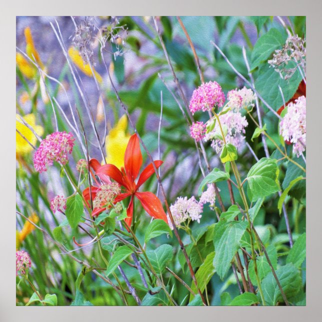Poster Paisagem de Jardim Tempestade com Hydrangea e Leil (Frente)