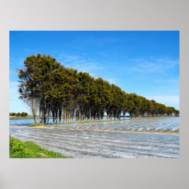 Poster Paisagem de Jersey em primavera (Frente)