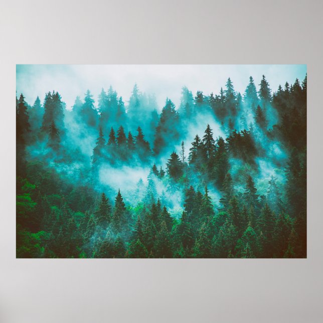 Poster Paisagem de montanha nebulosa com floresta de abet (Frente)