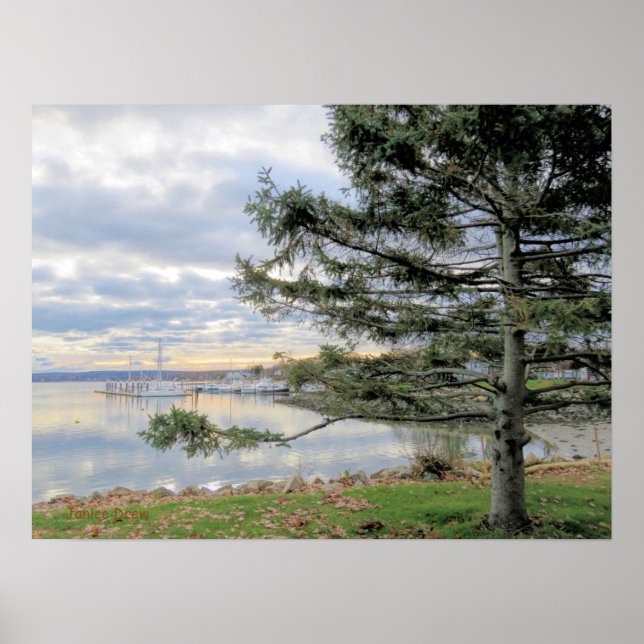 Poster paisagem de novembro (Frente)