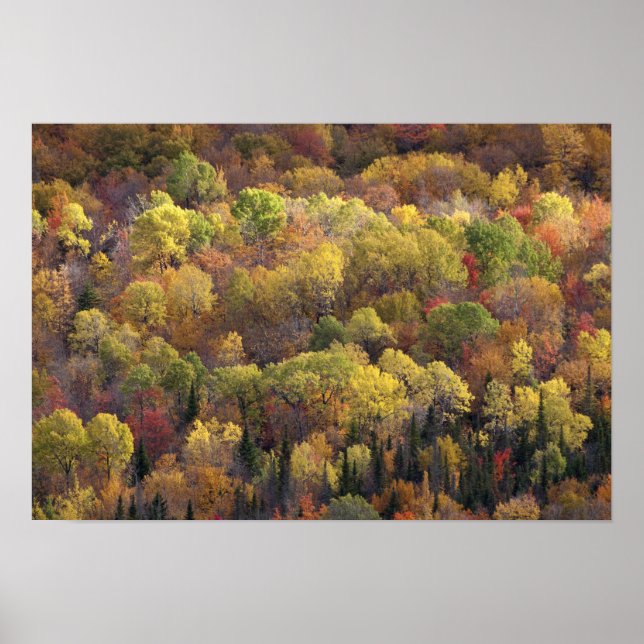 Pôster Paisagem de outono, Vermont, EUA (Frente)