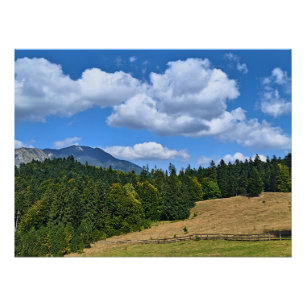 Pôster Paisagem de Prado Montanhoso - Natureza Selvagem R