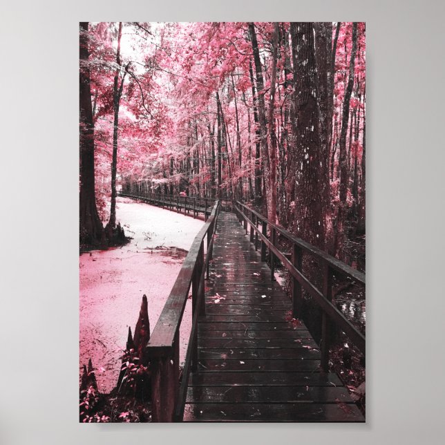 Poster paisagem de sonho de pântano (Frente)