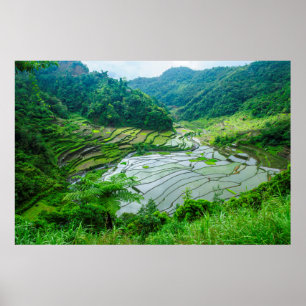 Pôster Paisagem de terraço de arroz, Filipinas