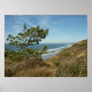 Pôster Paisagem de Torrey Pine e Costa da Califórnia