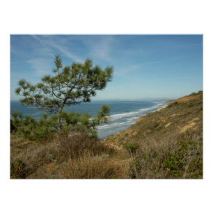 Pôster Paisagem de Torrey Pine e Costa da Califórnia