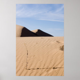 Poster Paisagem do deserto