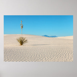 Poster Paisagem do Deserto de Areias Brancas e Planta de