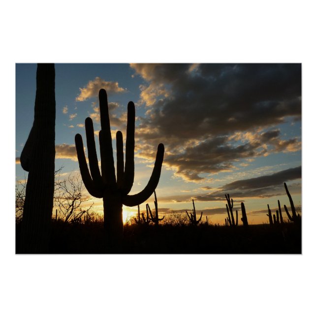 Pôster Paisagem do Deserto de Arizona Saguaro Sunset II (Frente)
