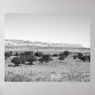 Poster Paisagem do Deserto de Utah preto e branco 16x20