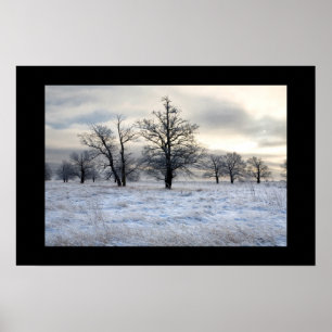 Poster paisagem do inverno
