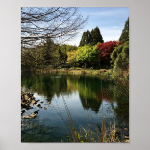 Poster Paisagem do Lago