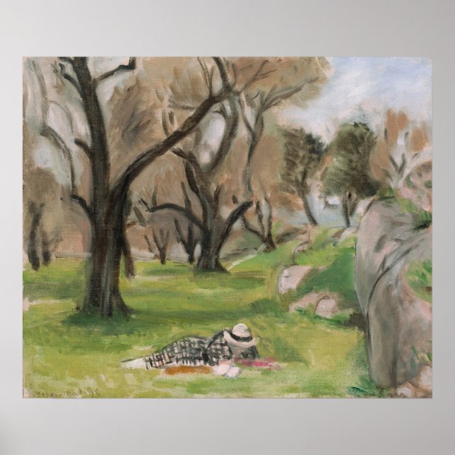 Poster Paisagem do Matisse do Sul (Frente)