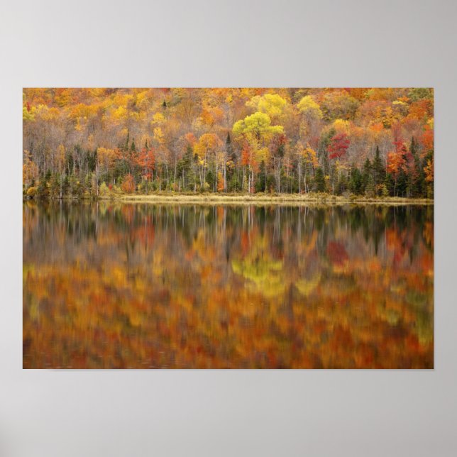 Poster Paisagem do outono com lago, Vermont, EUA (Frente)