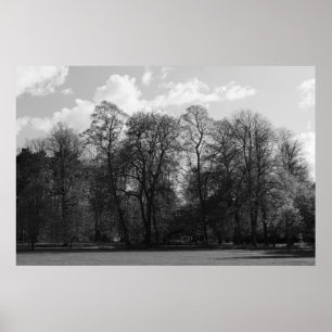 Poster Paisagem do Parque