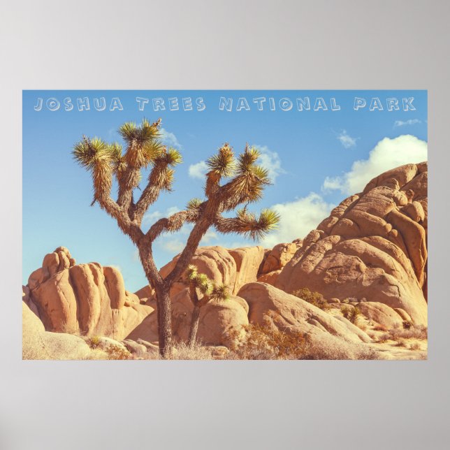 Poster Paisagem do Parque Nacional Joshua Trees (Frente)