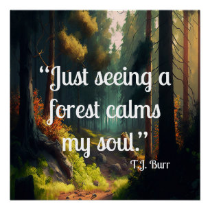 Pôster Paisagem Florestal