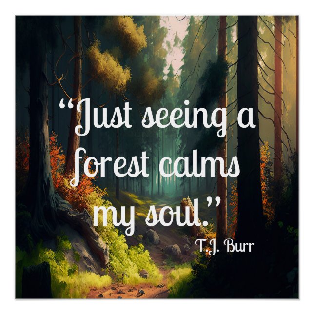 Pôster Paisagem Florestal (Frente)