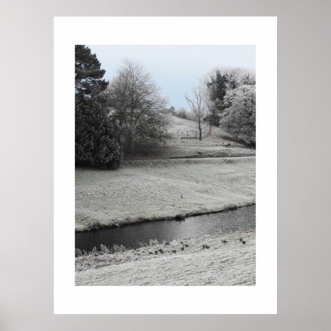 Poster Paisagem gelada (Frente)