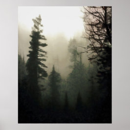 Poster Paisagem Moody Foggy Treescape