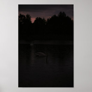 Poster Paisagem natural dos cantos do lago sunset
