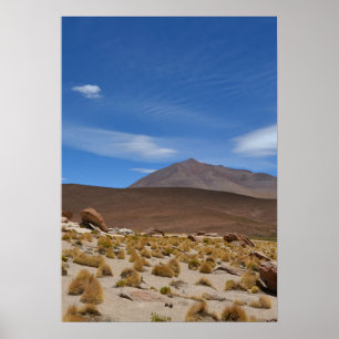 Poster Paisagem no Deserto do Altiplano boliviano