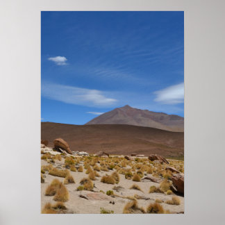 Poster Paisagem no Deserto do Altiplano boliviano