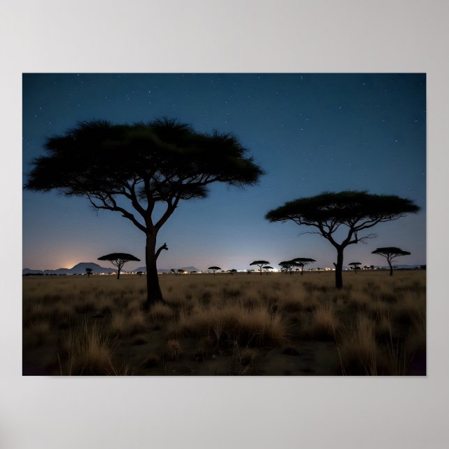 Poster Paisagem Noturna de Árvores de Acácia da Savana Af (Frente)