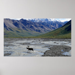POSTER PAISAGEM PACÍFICA COM REINO
