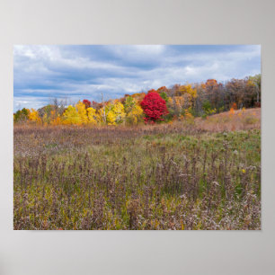 Poster paisagem prairie no outono em afton state park