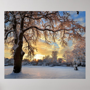 Poster Paisagem rural do inverno no por do sol