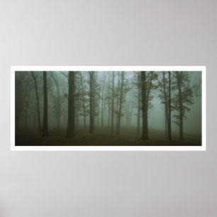 Poster Paisagem sombrio panorâmico da floresta