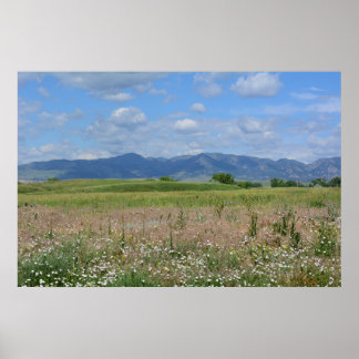 Poster Paisagem Summer Colorado